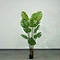artificial outdoor evergreen trees